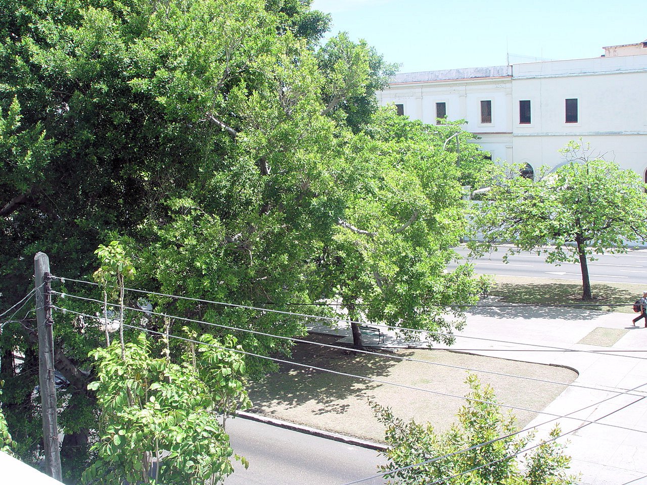 Desde el balcón