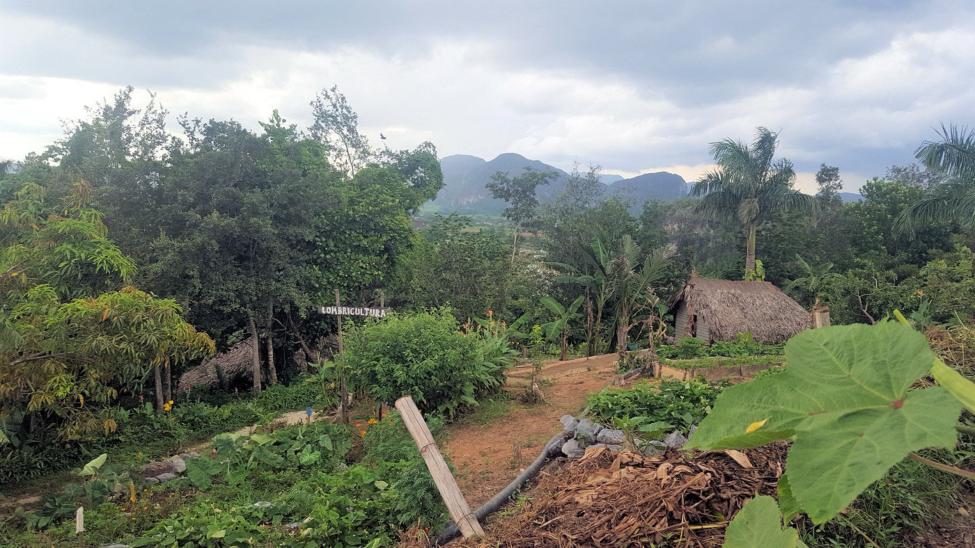 El Paraiso Ecological Farm