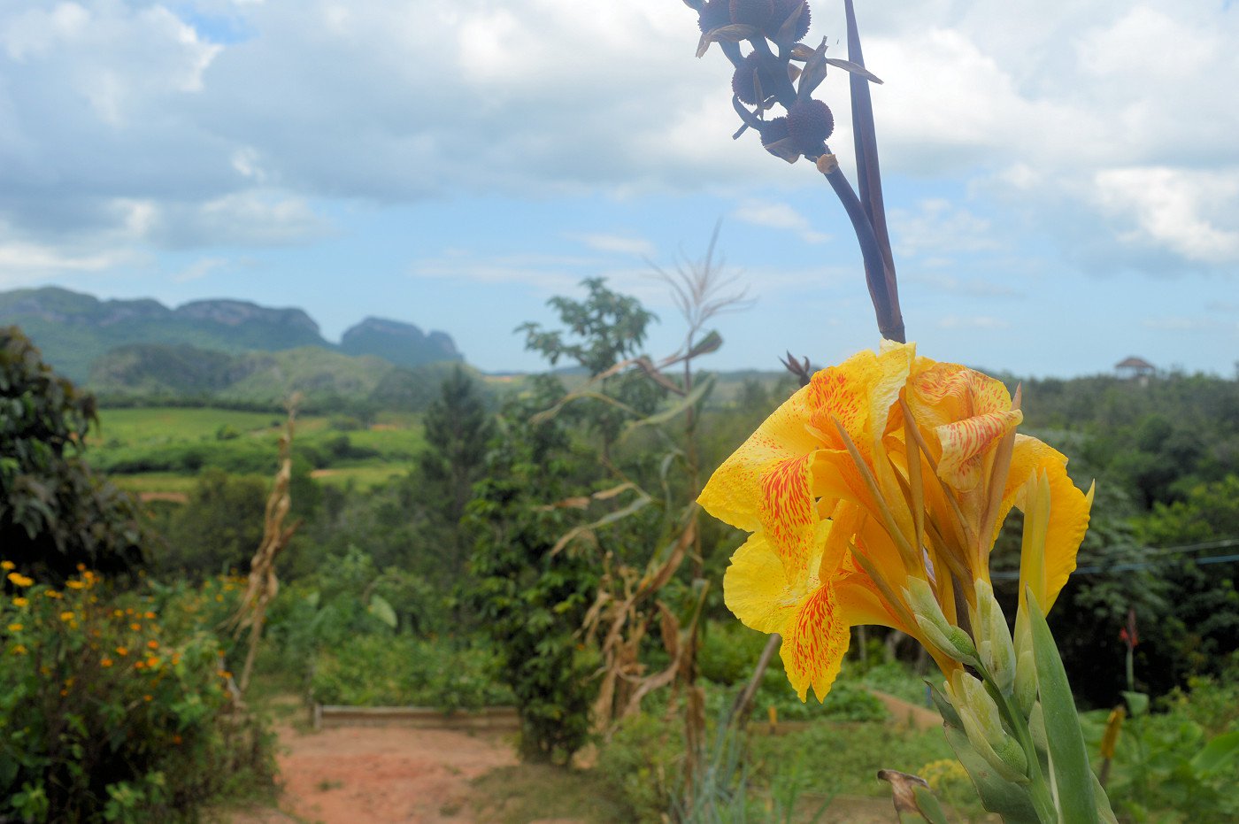 El Paraiso Ecological Farm