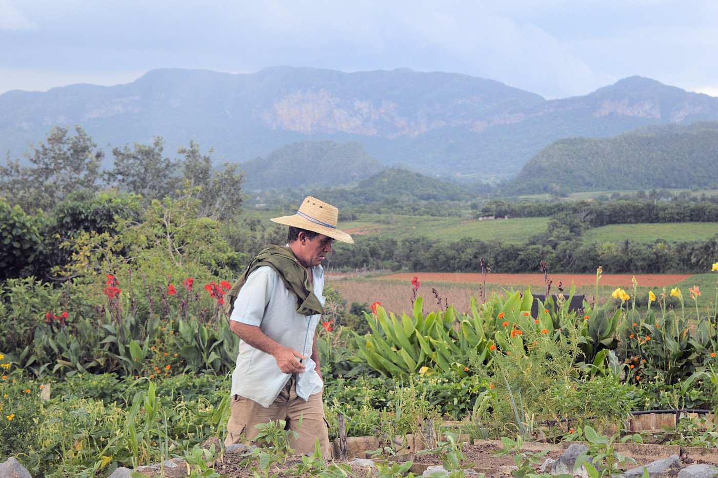 El Paraiso Ecological Farm